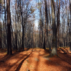 November