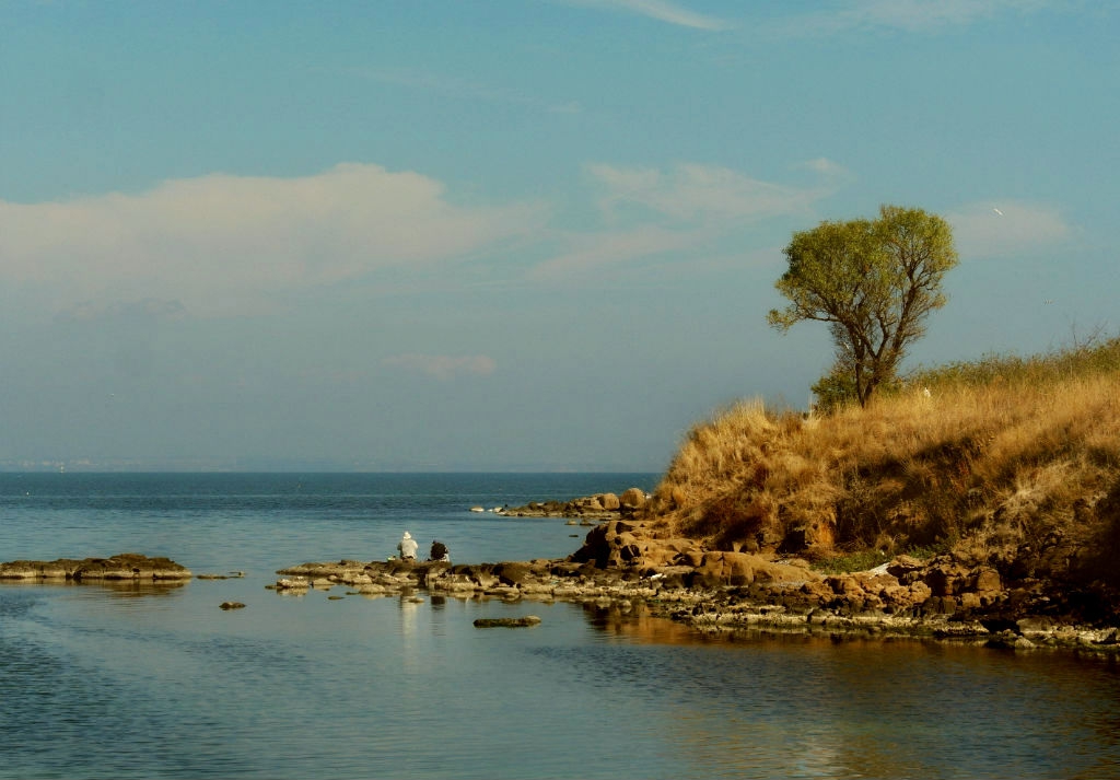 Крайморско