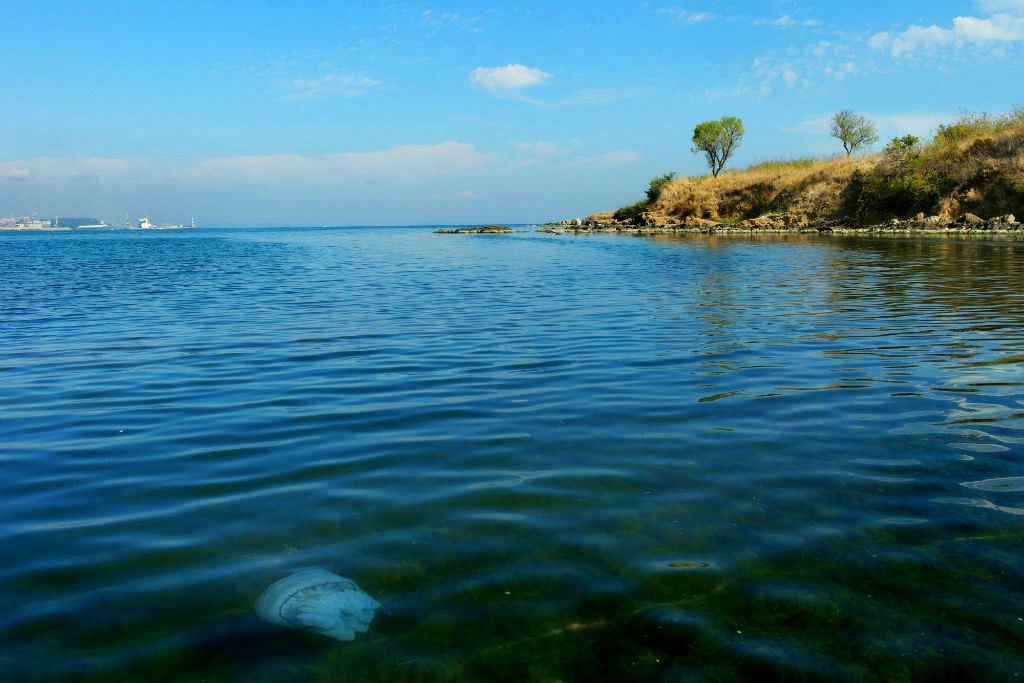 В бургаската акватория