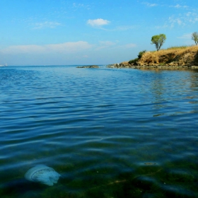 В бургаската акватория