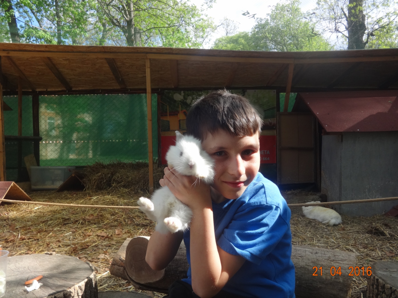 в petting zoo- в Морската градина