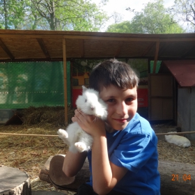 в petting zoo- в Морската градина