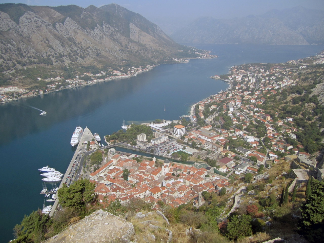 Kotor