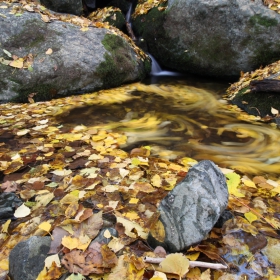 Есенни води