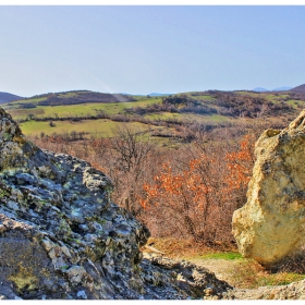 Попътно, край каменните гъби