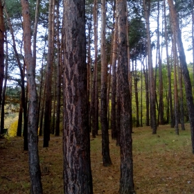 Есенна гора