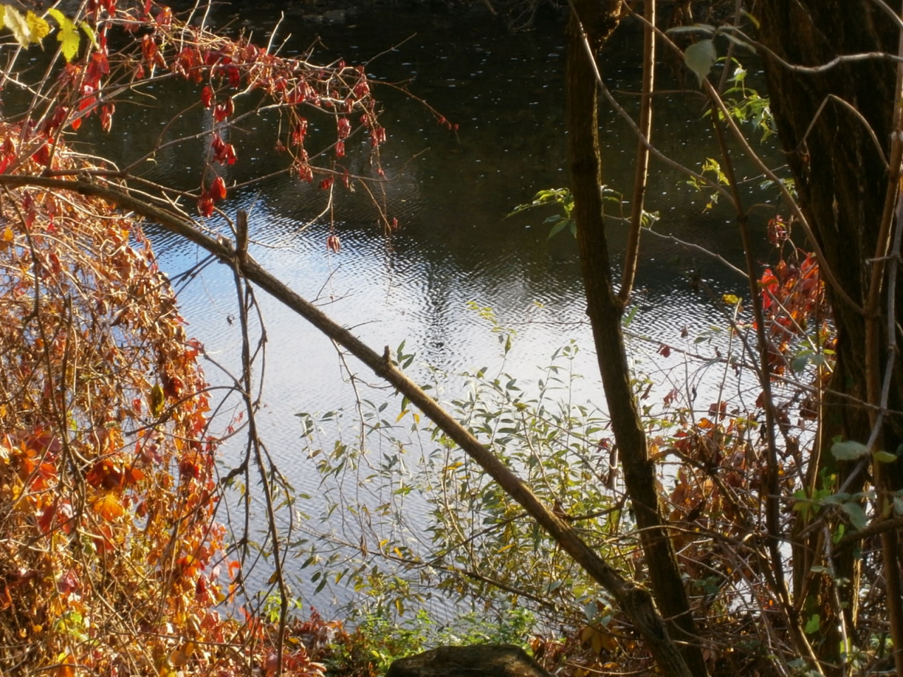 Есенно - 3
