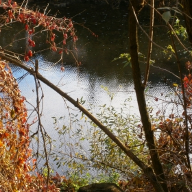 Есенно - 3