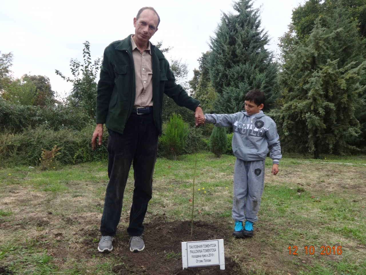 Садене на дърво- Пауловния в Карин дом