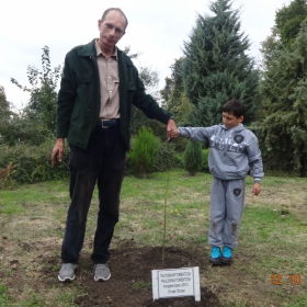 Садене на дърво- Пауловния в Карин дом