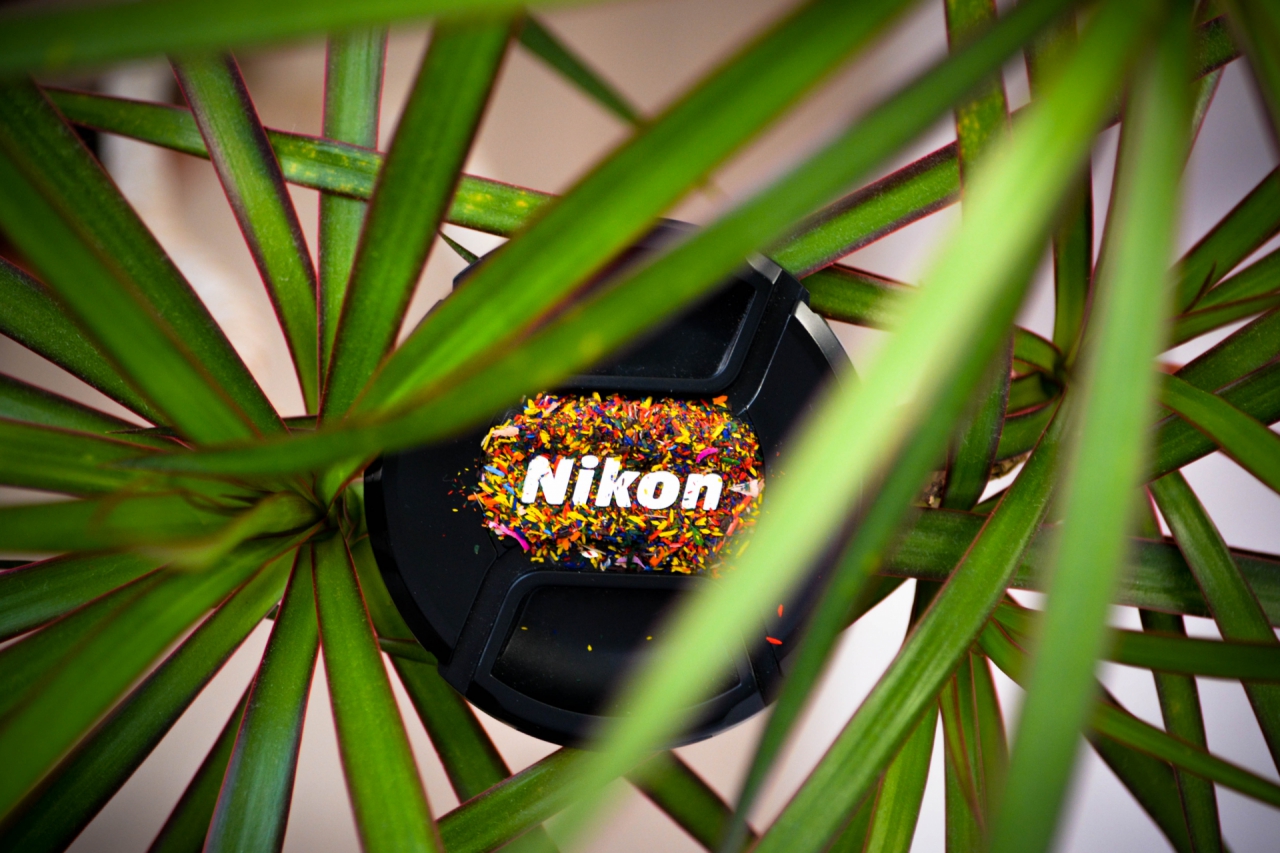 nikon