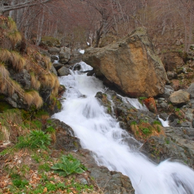 Бистра водица - мирна главица