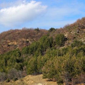 Планинска гледка