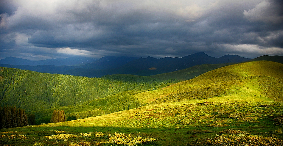 Амбарица