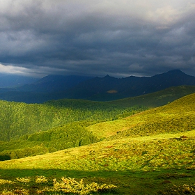 Амбарица