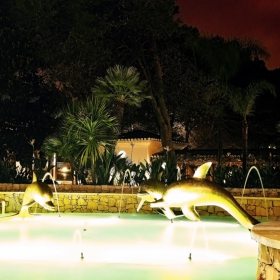 Gold Dolphins