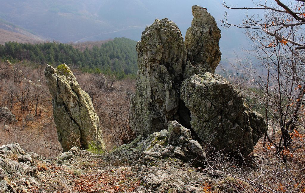 Поглед към скалите