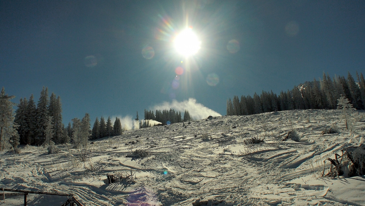 Vitosha