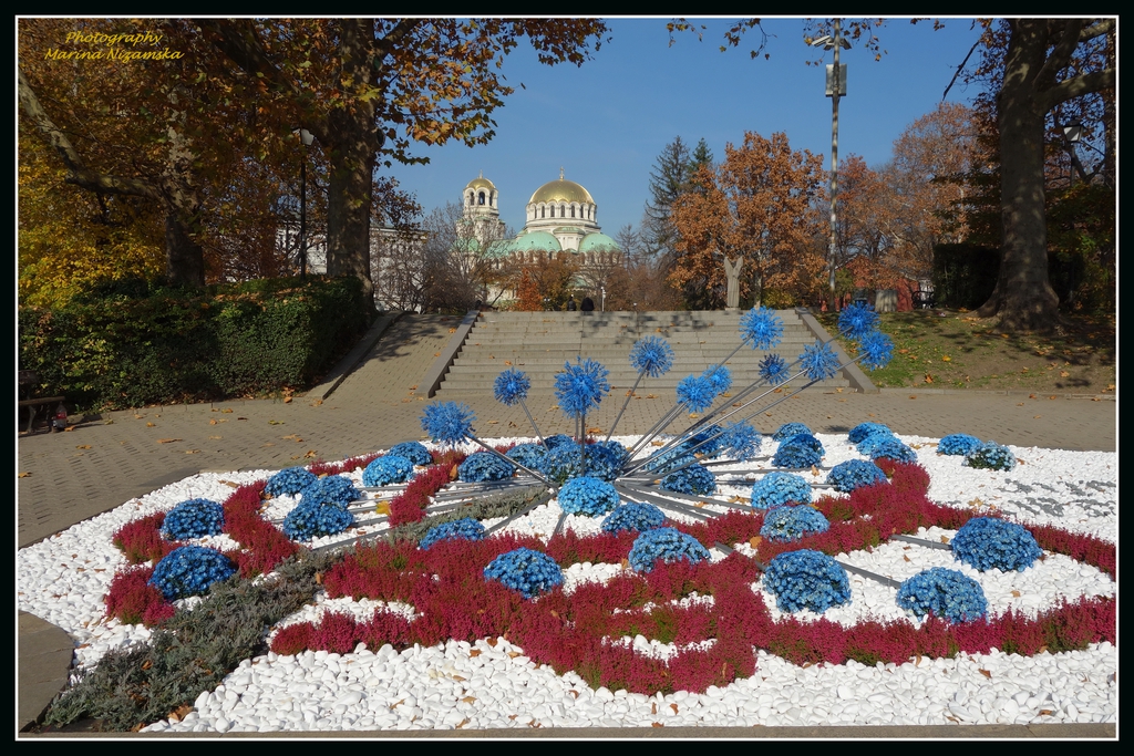 Поглед