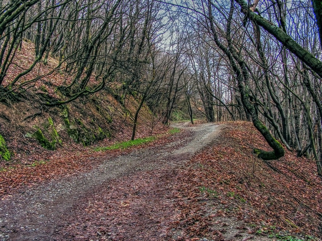 В очакване