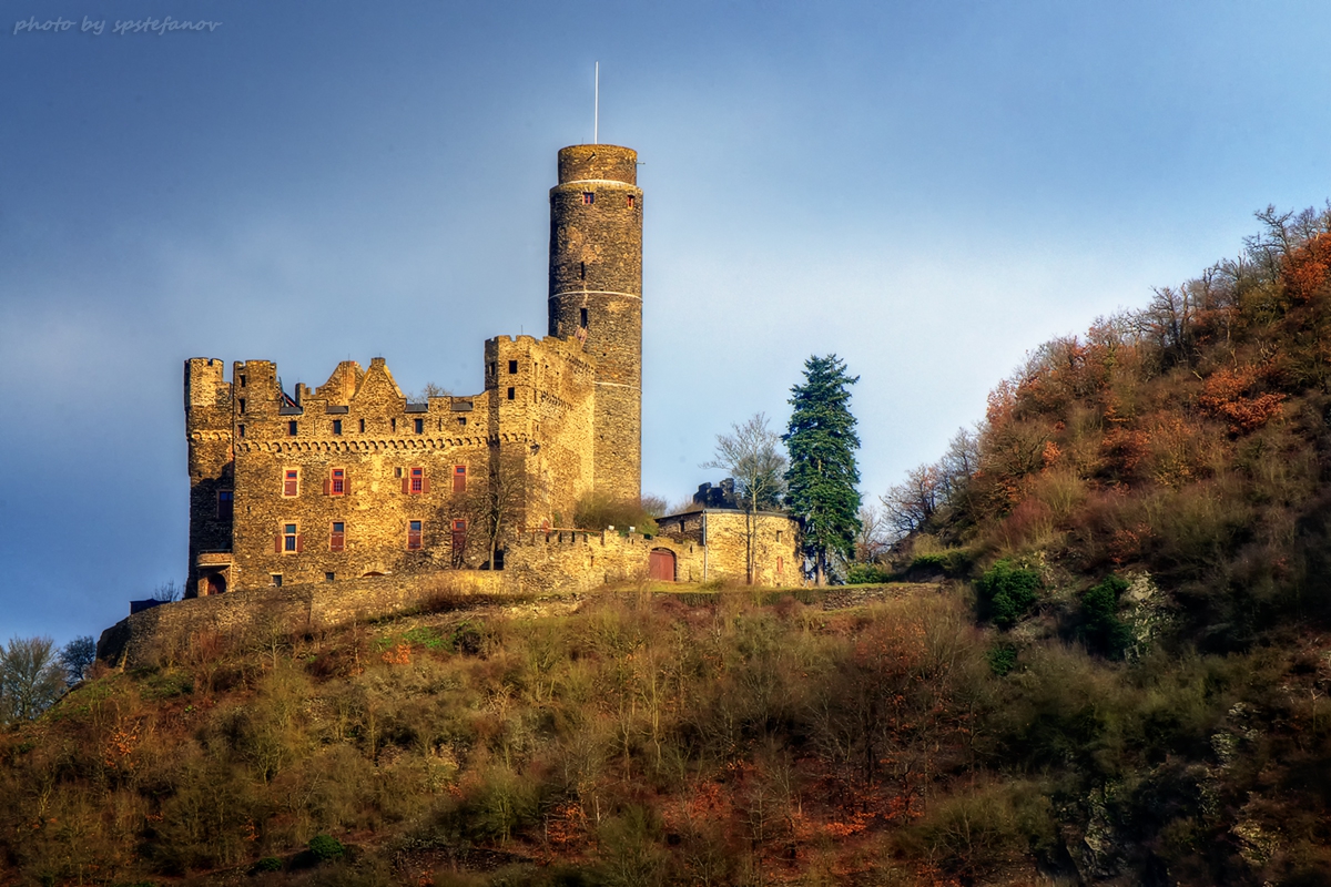 Burg mouse...