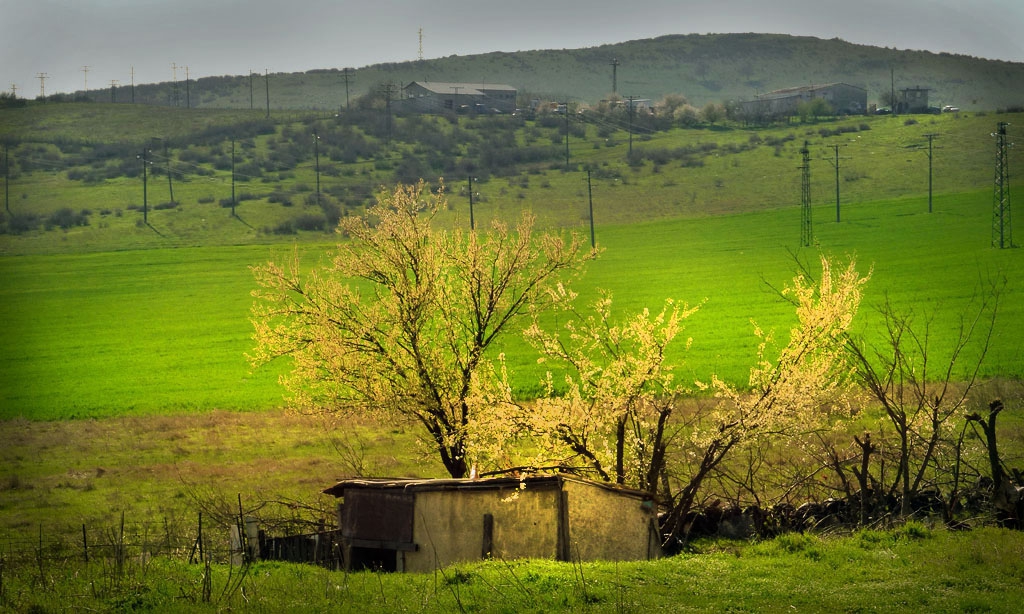 В края на града