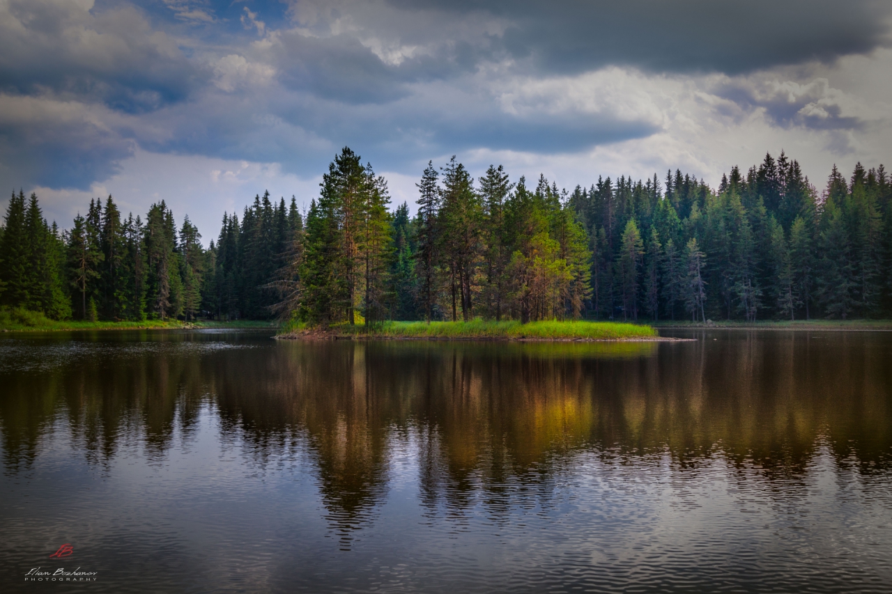 Широка поляна