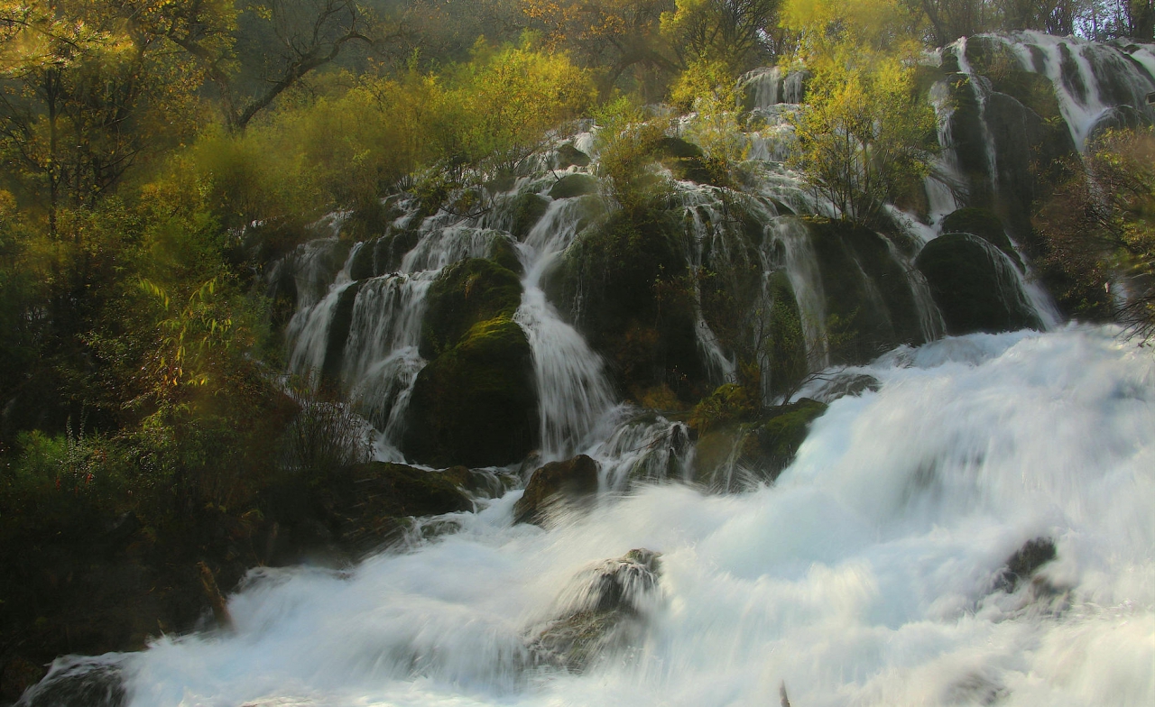 В царството на водата