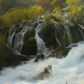 В царството на водата