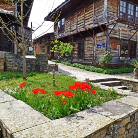 Лалета в центъра на Медвен