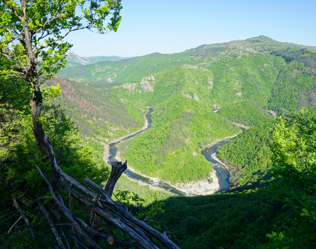 Меандрите на Арда