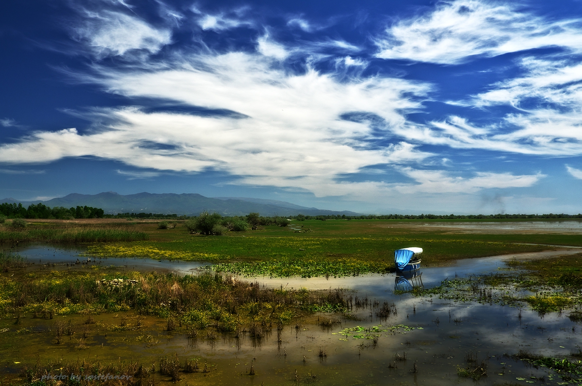 Dreamland...