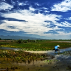 Dreamland...
