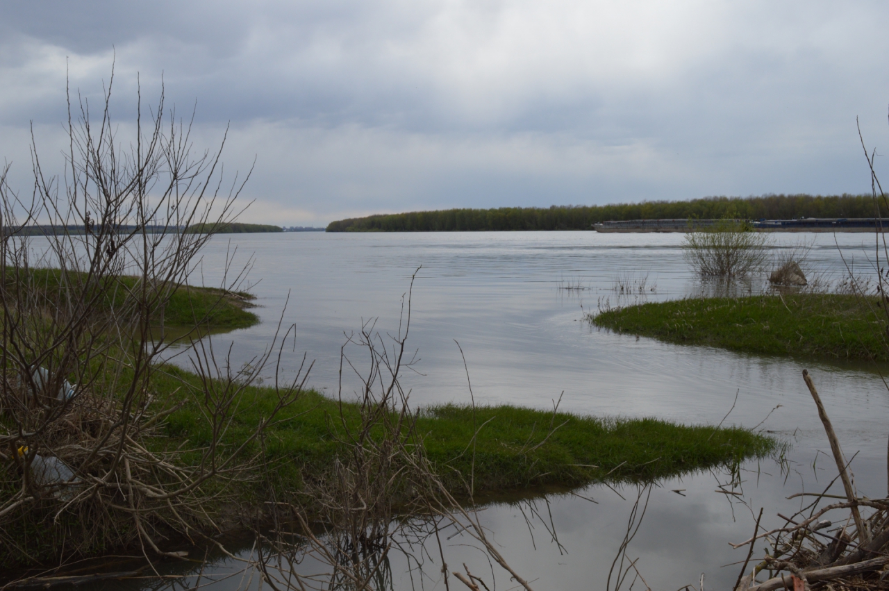 село Мартен - Дунава