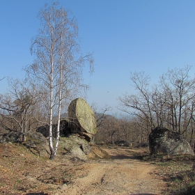 вертикален  срез