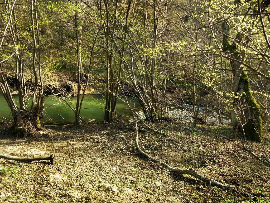Край реката в ранна пролет