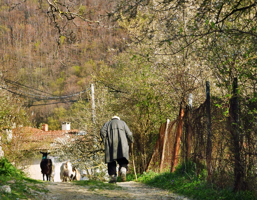 В края на деня