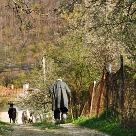 В края на деня