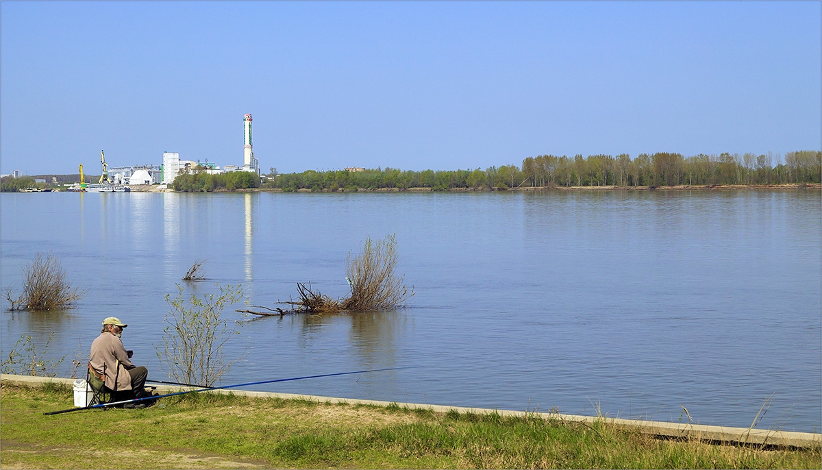 ДУНАВСКИ ХОРИЗОНТИ