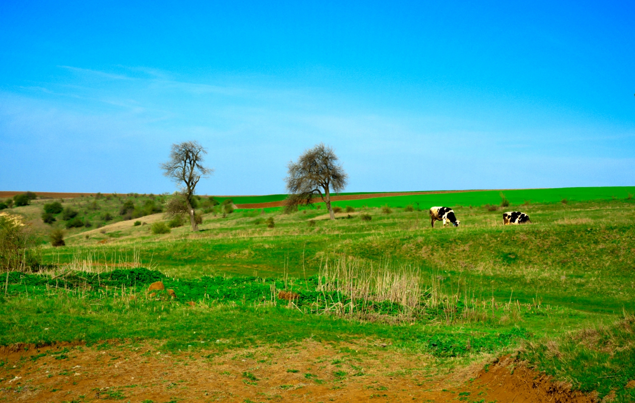 на село