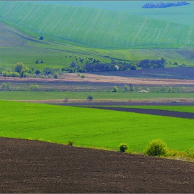 Някъде из Дунавската хълмиста равнина...