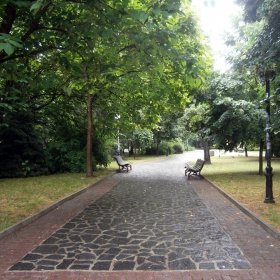 В парка