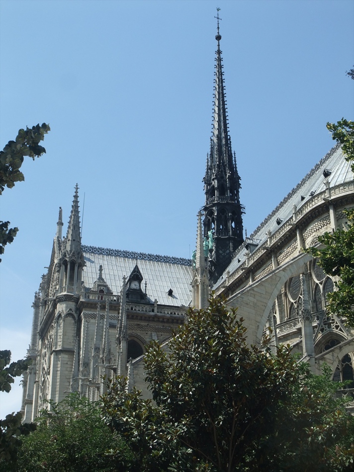 Поглед към стрелата на Notre Dame