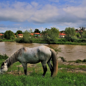 Пасторално край Вит