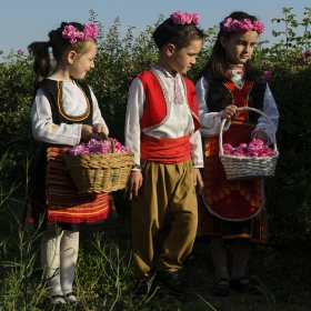 Малки розоберачи