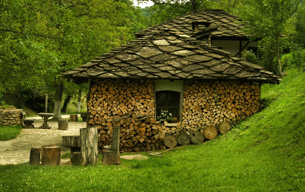 Сгушена в дървата
