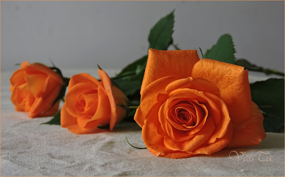Orange ...