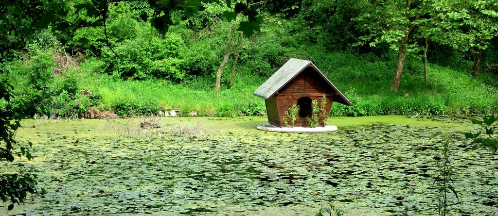 Кой пази водата...