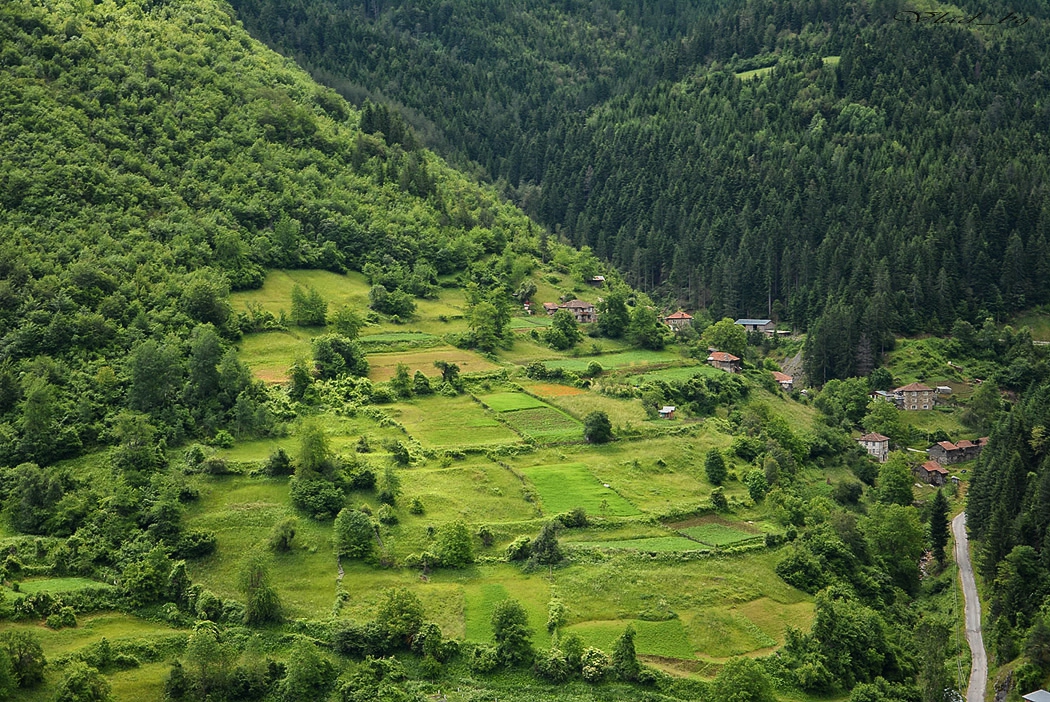 Слънчево зайче по родопски парцели