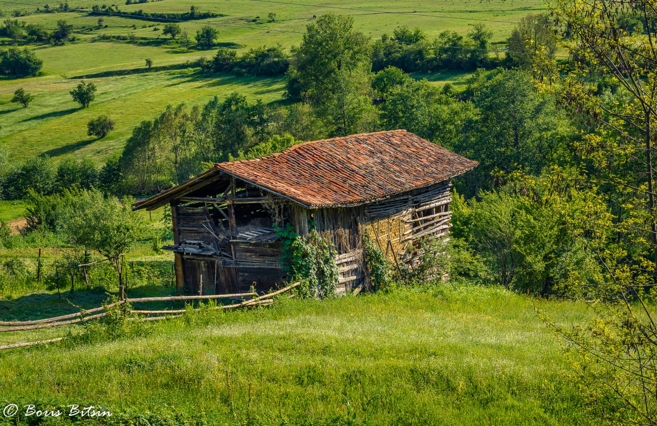 Старата плевня